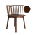 Spine - treesure